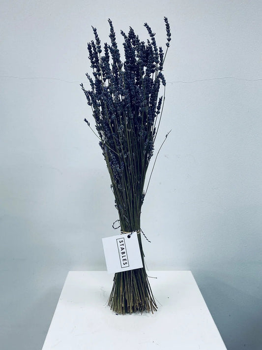 Dried Lavender Bunch - Stables Flower Co