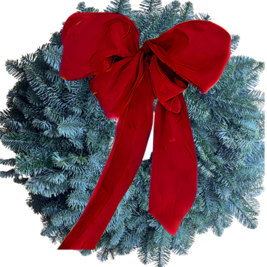 Fresh Spruce Door Wreath - Large & Lush