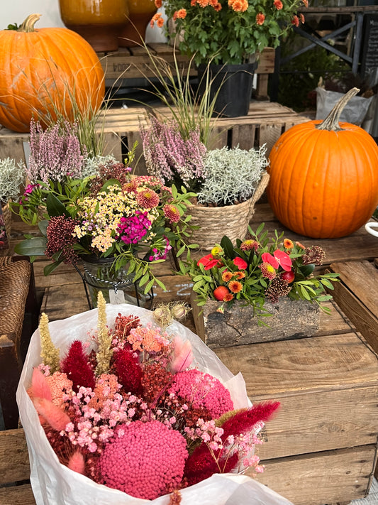 Pumpkin Flower Arrangement Workshop - Sat 25th October 2025 PM