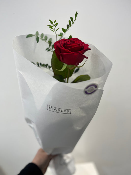 Luxury Long Stemmed Red Rose - Single Flower & Foliage